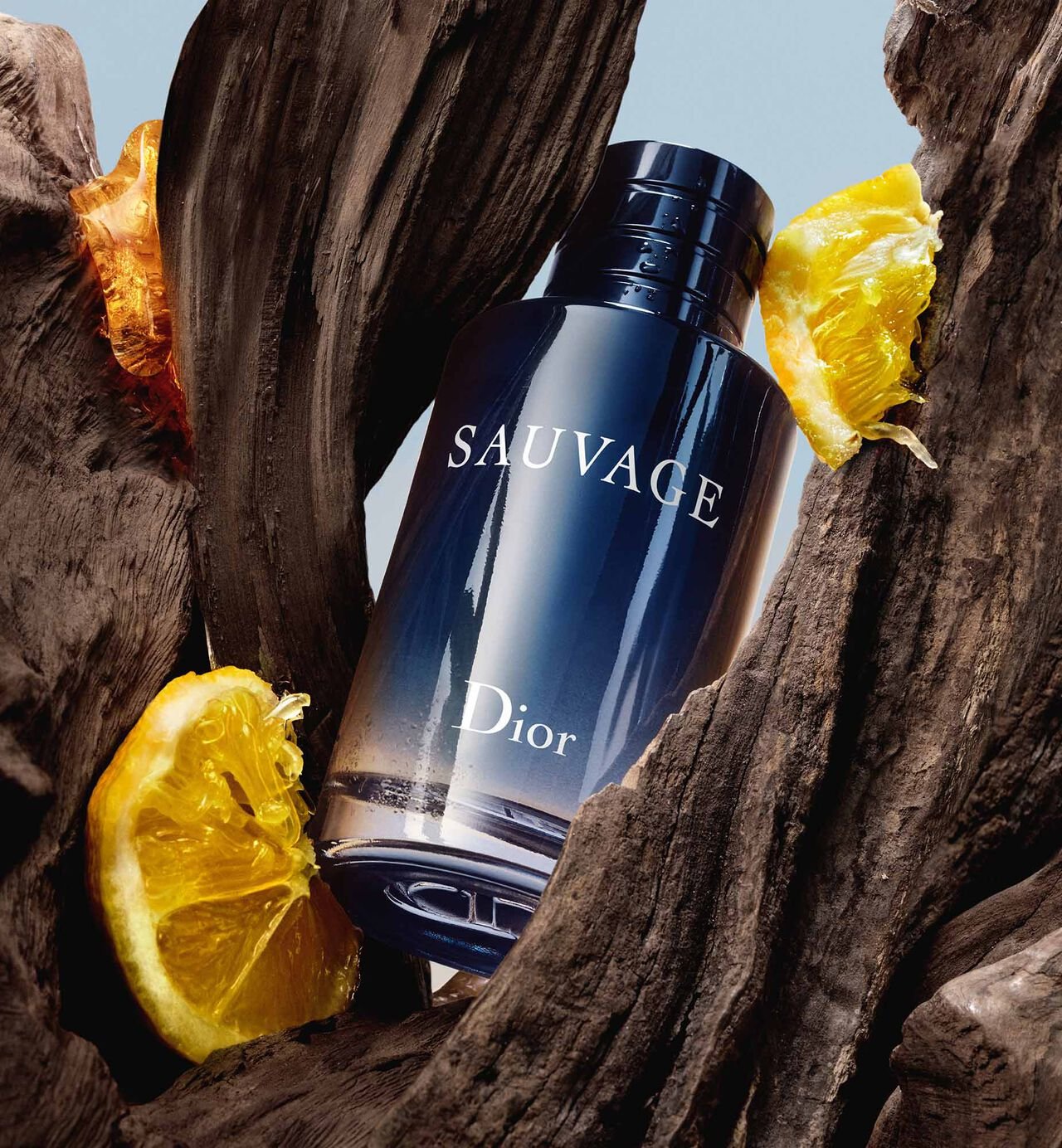 Dior Sauvage EDP 100 ml Sauvage Perfume Long - Lasting Fragrance for Daily Wear and Special Occasions