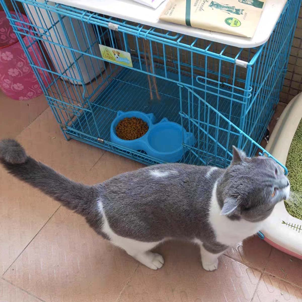 Cat Shaped Double food bowl Pet Plastic food bowl (Random Color) - Image 2